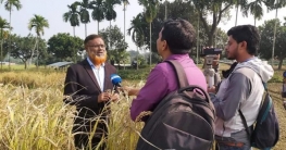 হাবিপ্রবিতে খরা ও বন্যা সহিষ্ণু নতুন জাতের ধান উদ্ভাবন   